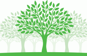 save trees save earth