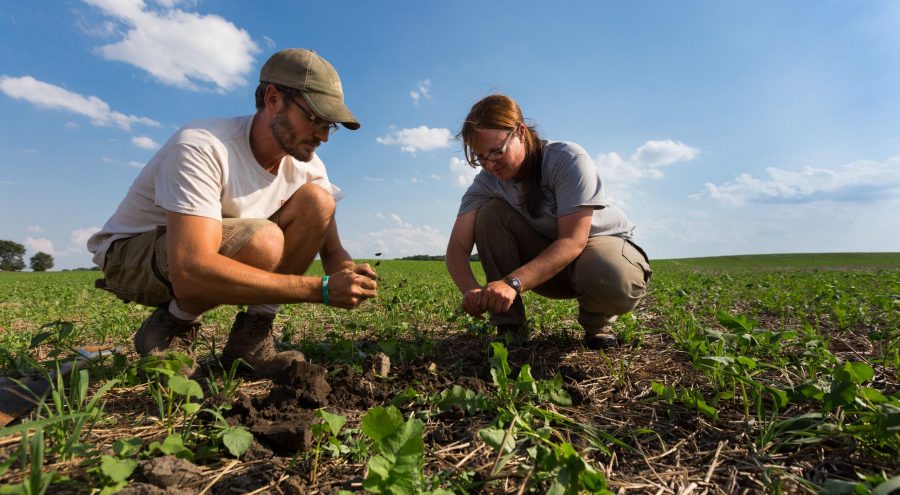 Climate Change Mitigation: The Power of Sustainable Farming Practices