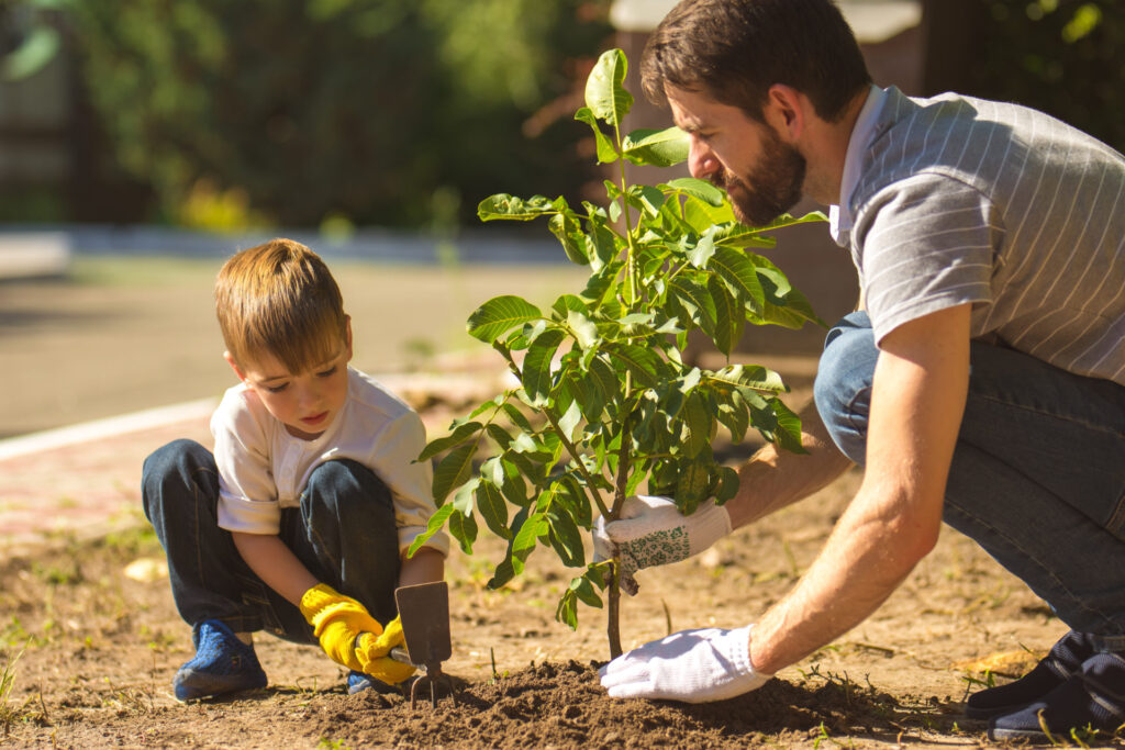 plant trees with children