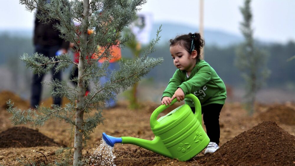 The Best Time to Plant a Tree: Wisdom That Lasts Forever